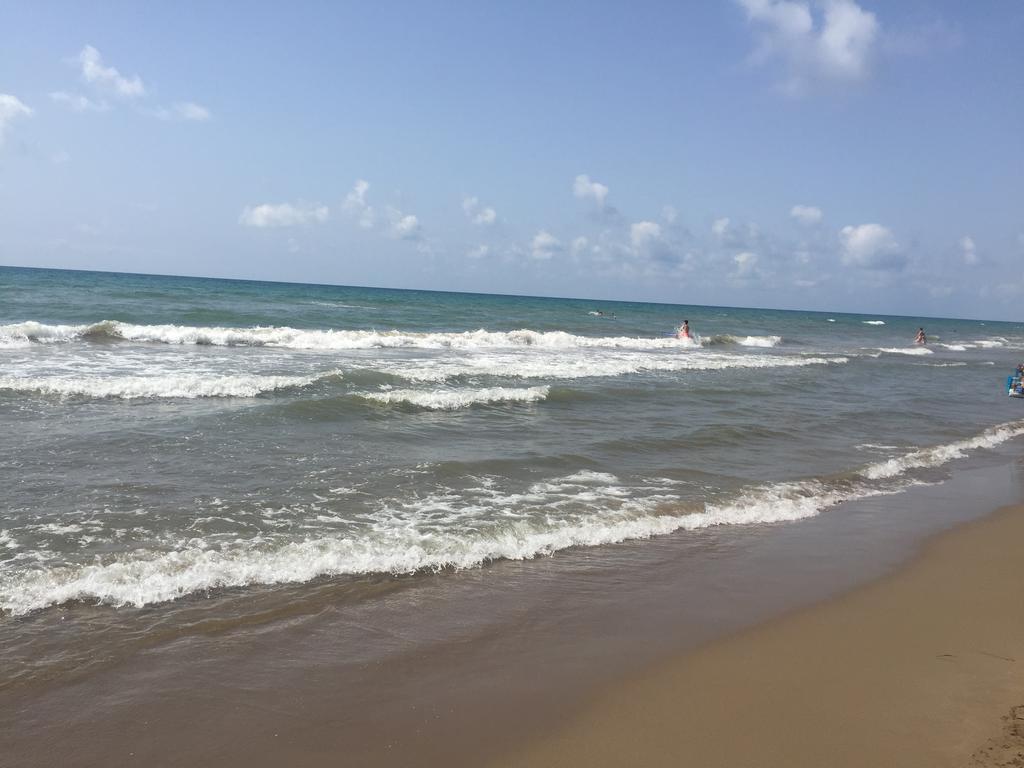 Apartment Los Eucaliptus L'Eucaliptus Екстер'єр фото
